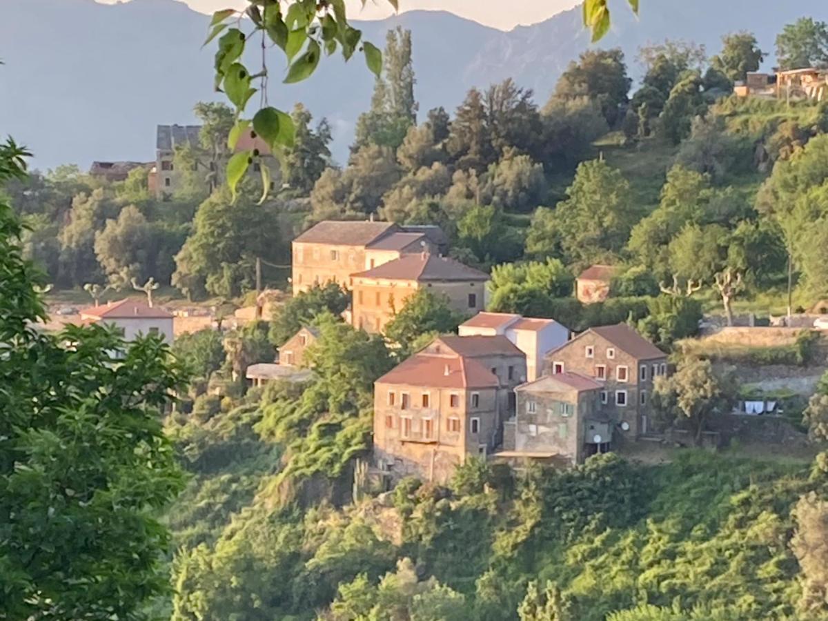 Casa A Stretta Apartment Castello-di-Rostino